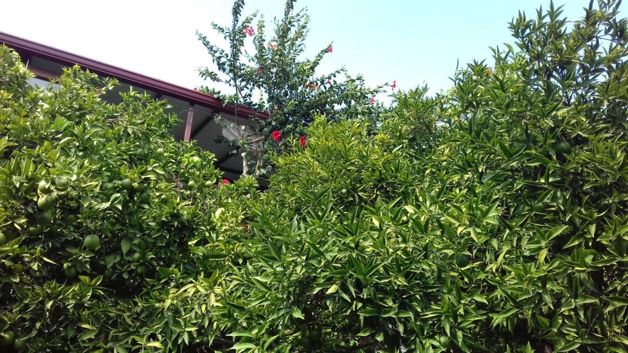 Cennet Pansiyon Hotel Kaleucagiz Exterior photo